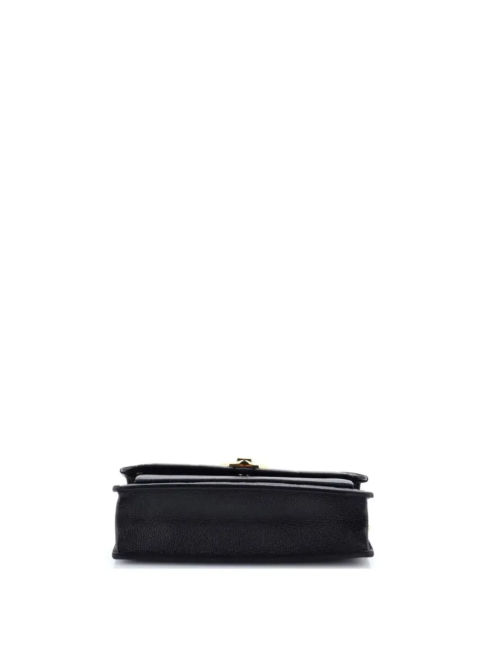 Louis Vuitton introducing louis